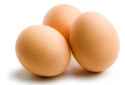 eggs-05.jpg