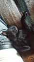 Resized_20160916_172908.jpg