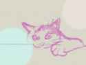 thisisacat.png