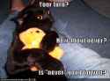 cat-hugs-teddy-bear-jealously.jpg