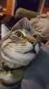 received_326258651056639.jpg