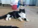 DSC00001.jpg