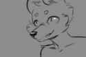 k9.png