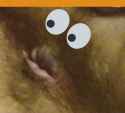Anus facus.png