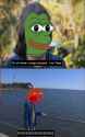 Pepe (64).jpg