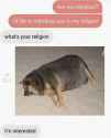 ^DA43E48348E6130F32E875ECB213030BA22D155185595F5EED^pimgpsh_fullsize_distr.jpg
