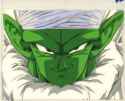 Piccolo.jpg