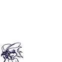 Soren.png