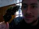 Snapshot_20150620_1.jpg