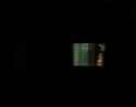 DSC01667.jpg