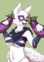 1463362288.nook-lom_alopex_censor_wet.jpg