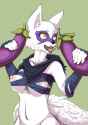 1463365063.nook-lom_alopex_censor.jpg