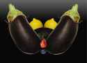 179914 - Eggplant Lemon Vegetable blueberry food fruit inanimate.jpg