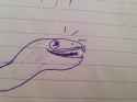 image.jpg