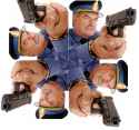 Quad cop.jpg