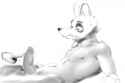 k9.png