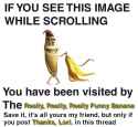 32457645345.jpg