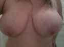 udders.jpg