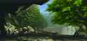 1475384527416.gif