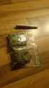 weed 3.jpg