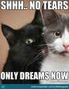 only-dreams-now_o_2816255.jpg