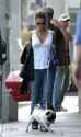 th_7d9eb_jmacashdog006.jpg