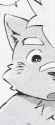 d2c3b072c15014be646022e011c99dc4.png