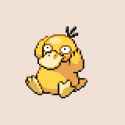 psyduck.gif