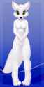 fa6569e9bd27f70542a1c791a0274dc4.png
