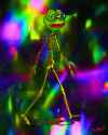 skellypepe.gif