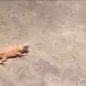 ciJUWQI.gif