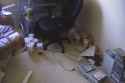 Floorbymychair.png