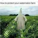 FB_IMG_1474836815233.jpg