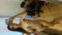 20160929_133748.jpg