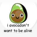 avocado.png