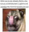 Maximum Borkdrive.jpg
