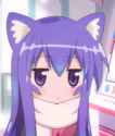 tsumiki cat ears.png
