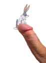 received_328156517534605.gif