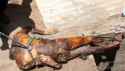 body-man-found-septic-tank-pomona-venezuela-04-840x478.jpg