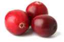 cranberries.jpg
