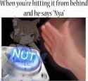 14291804_1186174324737291_647498209766587241_n.jpg