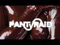 PANTyRAiD.jpg