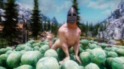 cabbages.jpg