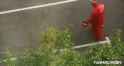 1420959242186.gif