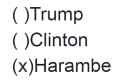 Harambe for pres.png
