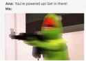 11ZYvaU.jpg