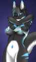 1372401573.yuki-the-fox_image.jpg