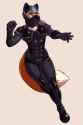 1466030924.fcsimba_steelfoxcom1.png