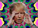 hypnoTrump.gif