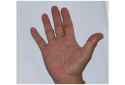 rightPalm.jpg